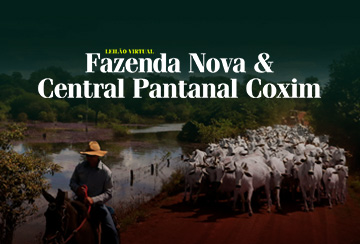 LEILÃO VIRTUAL FAZENDA NOVA & CENTRAL PANTANAL COXIM